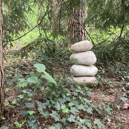 Neu! Kiefernhaeuschen