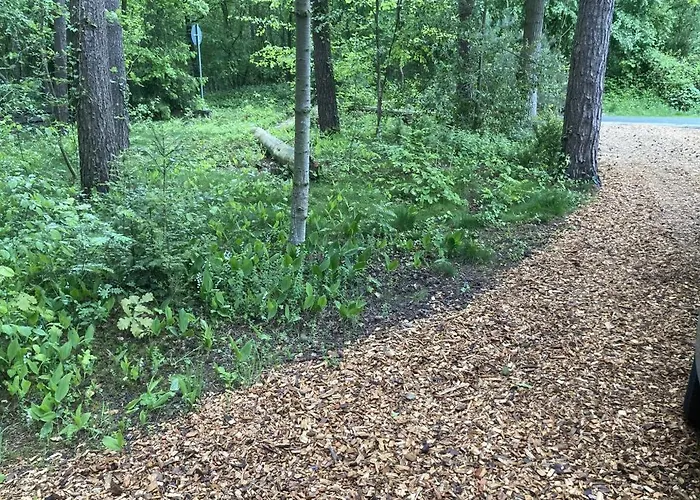 Neu! Kiefernhaeuschen Wienhausen